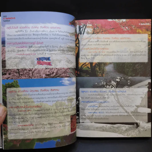 ฮิกาซีน ฉบับพิเศษ เกาะดม ชมโตเกียว เล่ม 1-2 รูปที่ 9