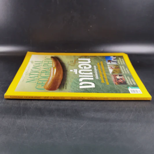 National Geographic ก.ย.2558 งาเถื่อน รูปที่ 3