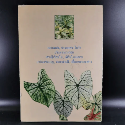 ไม้ประดับใบ จัดแต่งบ้านและสวน เล่ม 1 รูปที่ 2