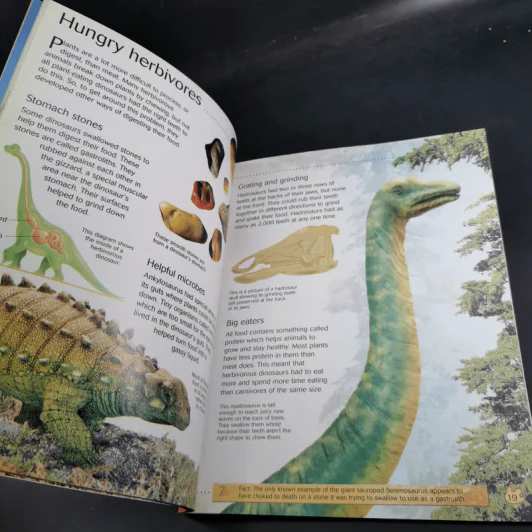 Dinosaurs - Rachel Firth รูปที่ 9