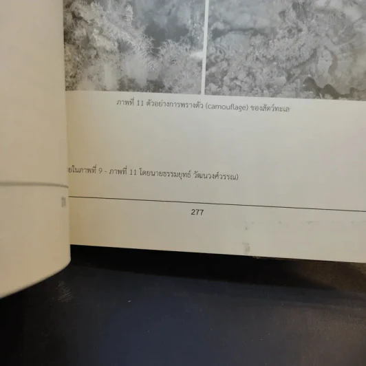 Essential Biology - ศุภณัฐ ไพโรหกุล รูปที่ 16