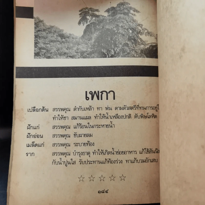 สารพัดยาไทย สมุนไพรที่ช่วยให้อายุยืน - ร.ท.มงคล ทัศมาลี รูปที่ 12