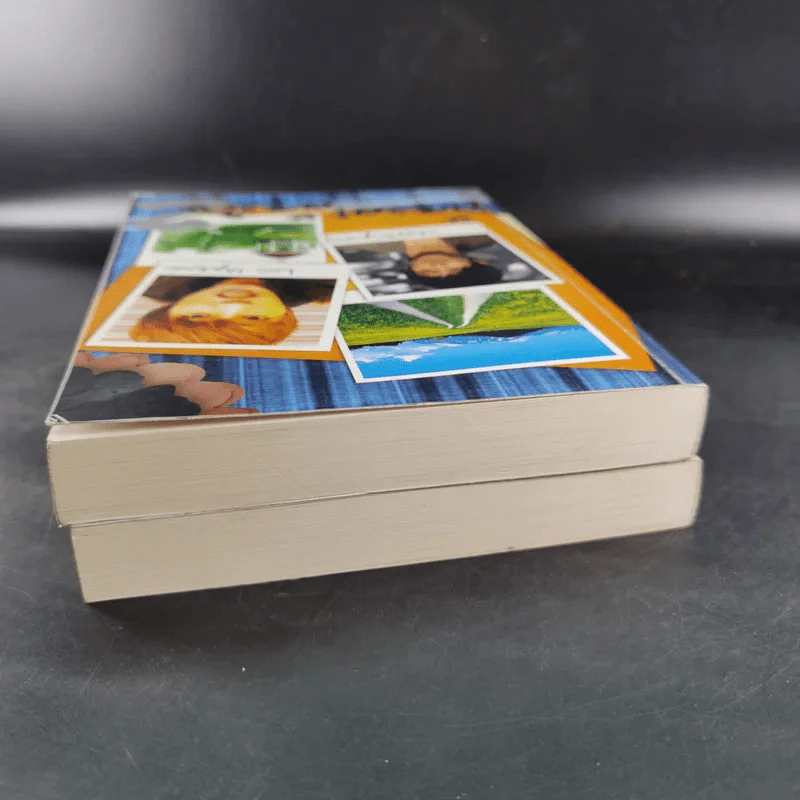 ต้องตา ต้องใจ 2 เล่มจบ Boxset - Name รูปที่ 10