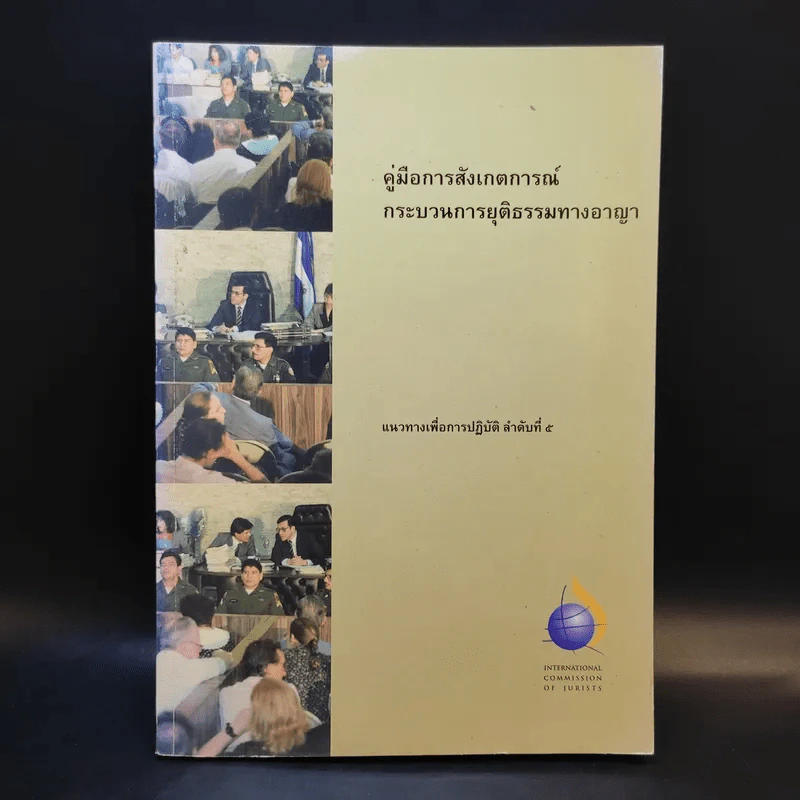 คู่มือการสังเกตการณ์กระบวนการยุติธรรมทางอาญา รูปที่ 1