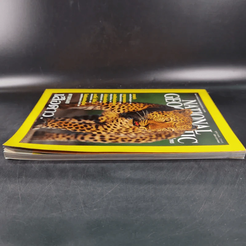 National Geographic ต.ค.2544 ตามรอยเสือดาว รูปที่ 5