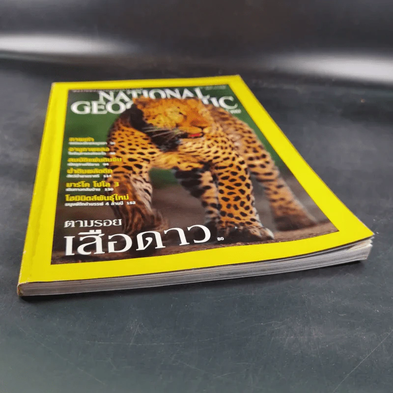National Geographic ต.ค.2544 ตามรอยเสือดาว รูปที่ 4