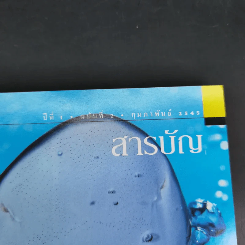 National Geographic ก.พ.2545 เอ็ตนาระเบิด รูปที่ 7