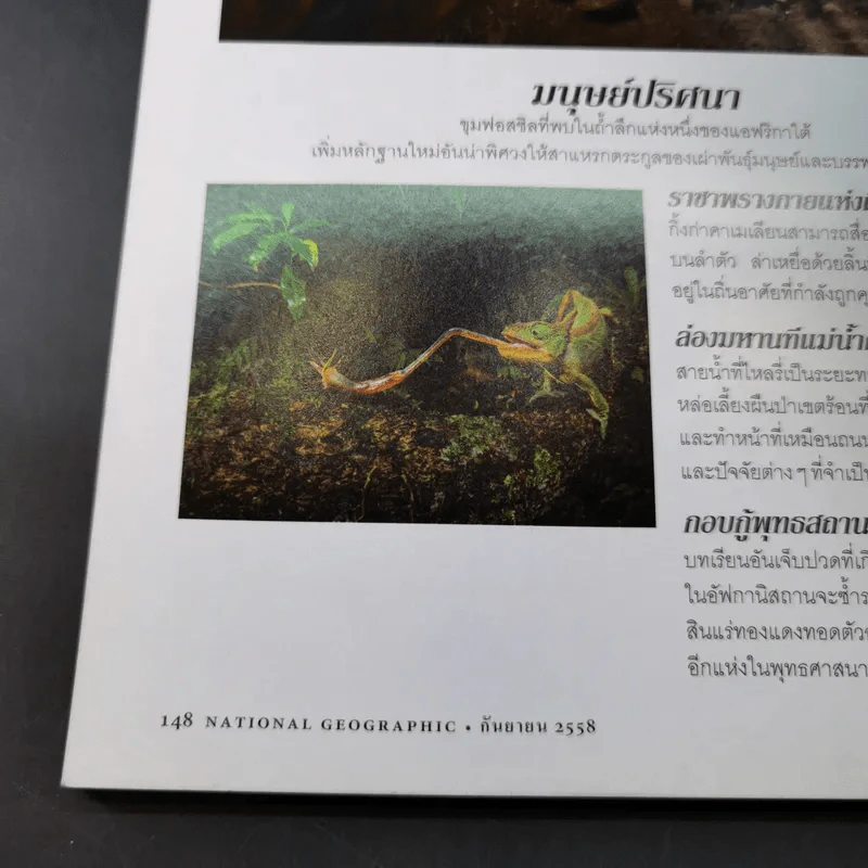 National Geographic ก.ย.2558 งาเถื่อน รูปที่ 11