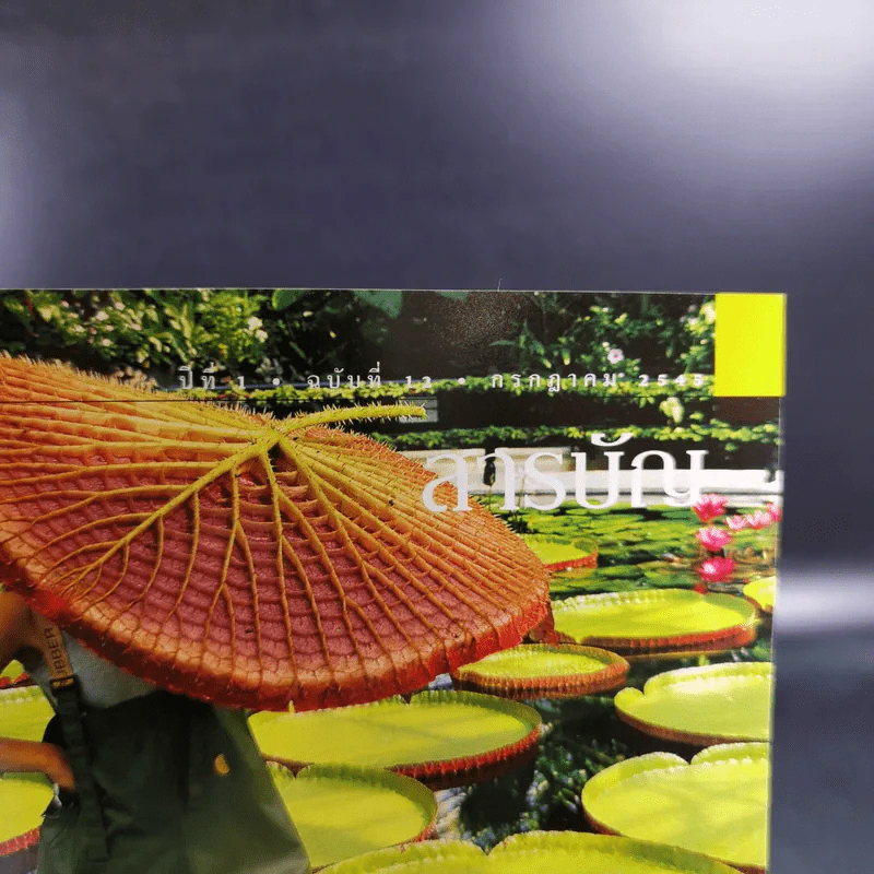 National Geographic ก.ค.2545 อินทรีหัวขาวผงาดฟ้า รูปที่ 7