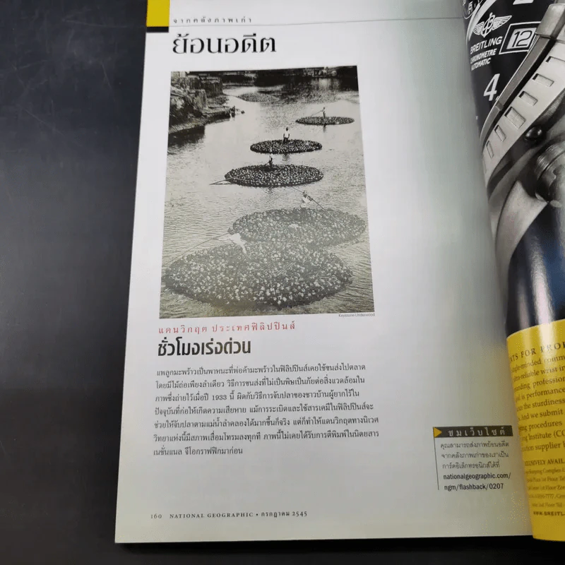 National Geographic ก.ค.2545 อินทรีหัวขาวผงาดฟ้า รูปที่ 13