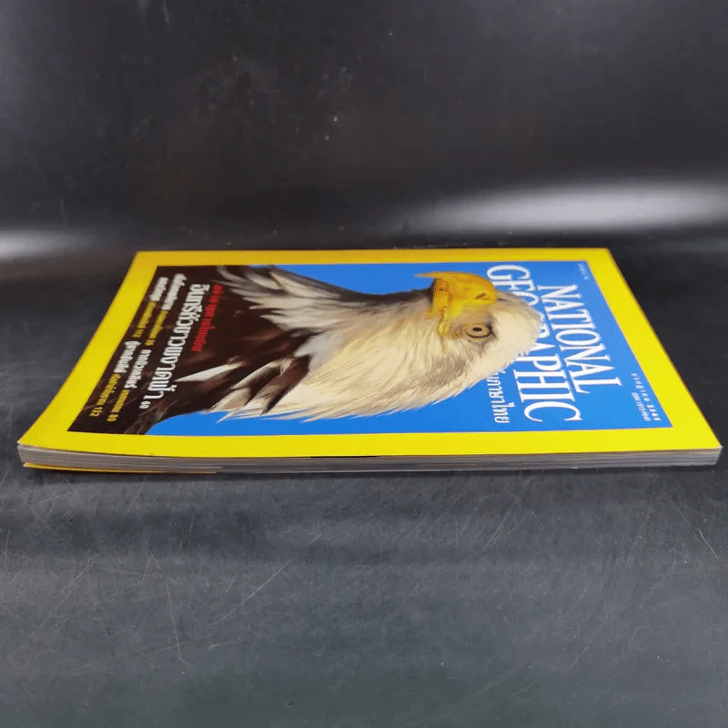 National Geographic ก.ค.2545 อินทรีหัวขาวผงาดฟ้า รูปที่ 5