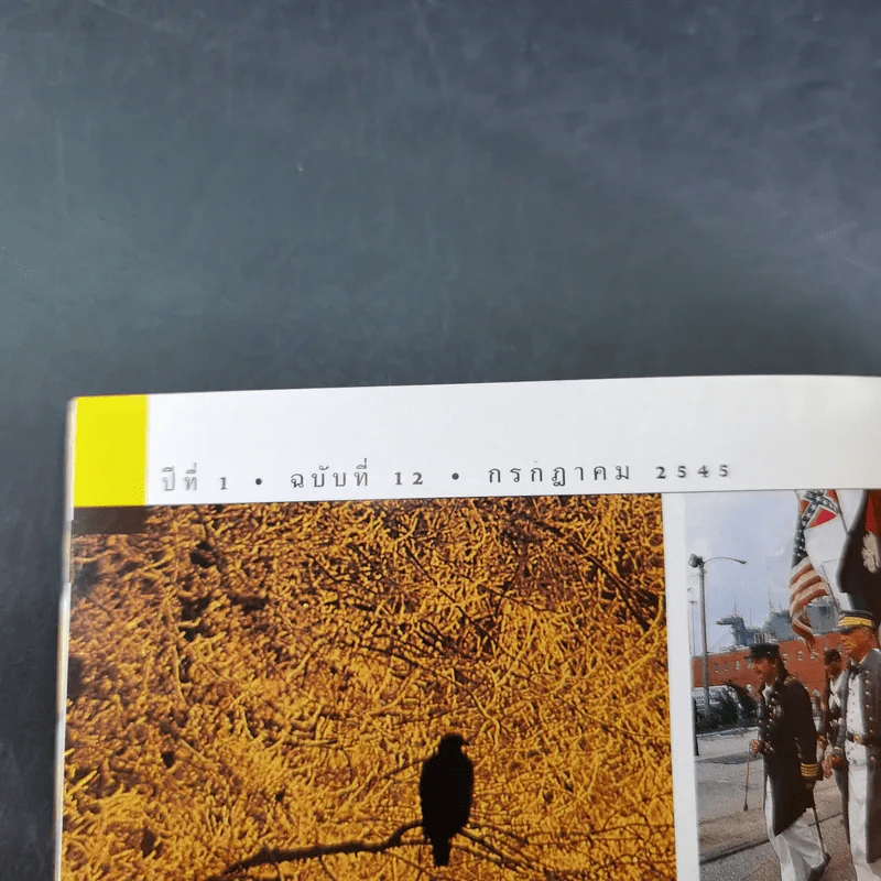 National Geographic ก.ค.2545 อินทรีหัวขาวผงาดฟ้า รูปที่ 9