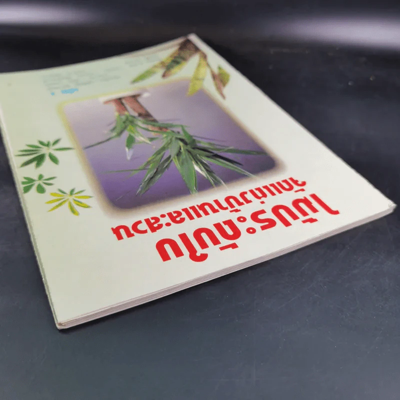 ไม้ประดับใบจัดแต่งบ้านและสวน เล่ม 2 รูปที่ 6
