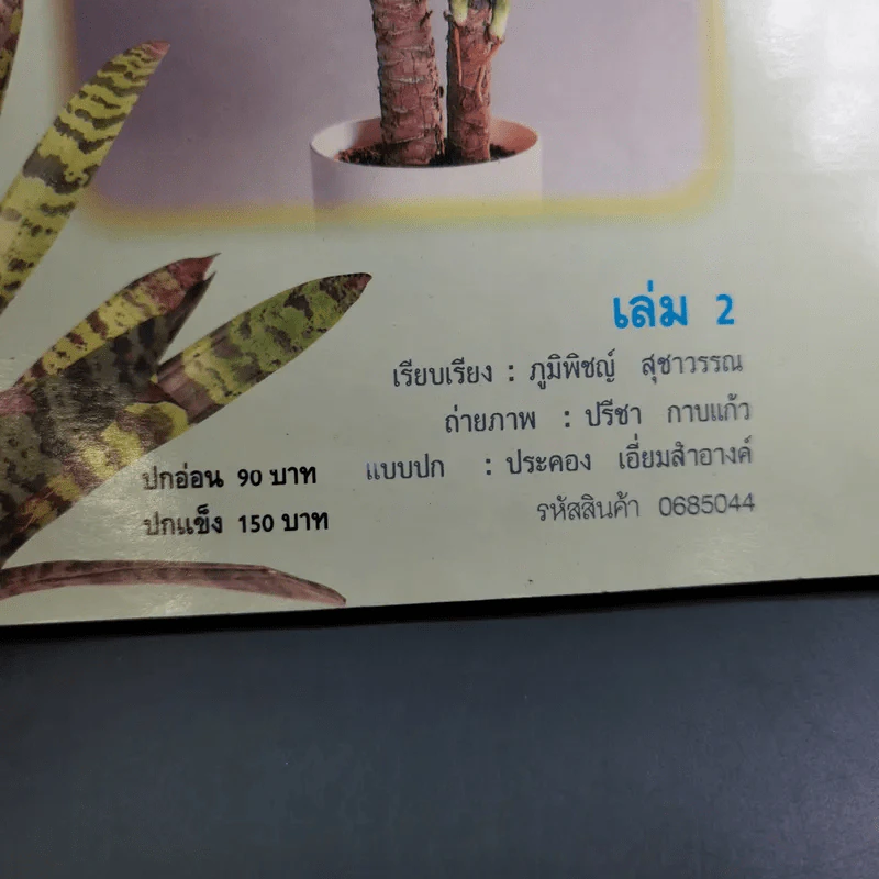 ไม้ประดับใบจัดแต่งบ้านและสวน เล่ม 2 รูปที่ 7