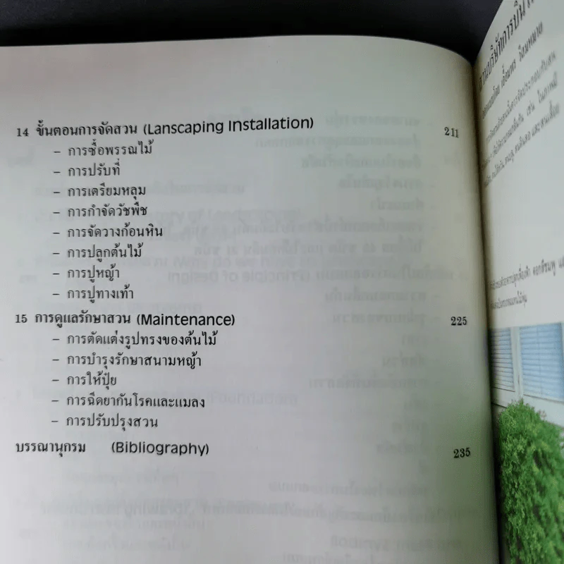 หลักการจัดสวนเบื้องต้น - เอื้อมพร วีสมหมาย รูปที่ 12