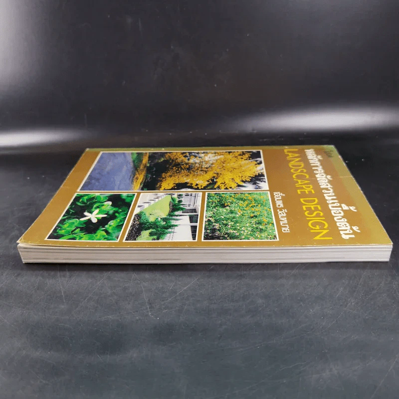 หลักการจัดสวนเบื้องต้น - เอื้อมพร วีสมหมาย รูปที่ 5