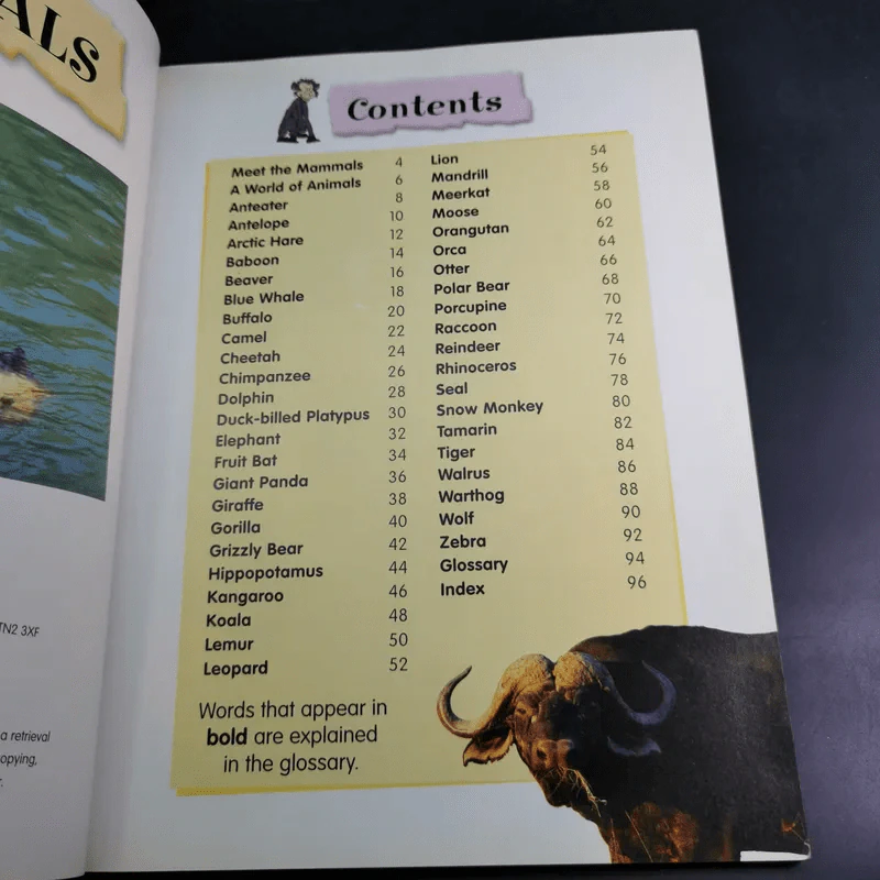 All About Animals รูปที่ 7