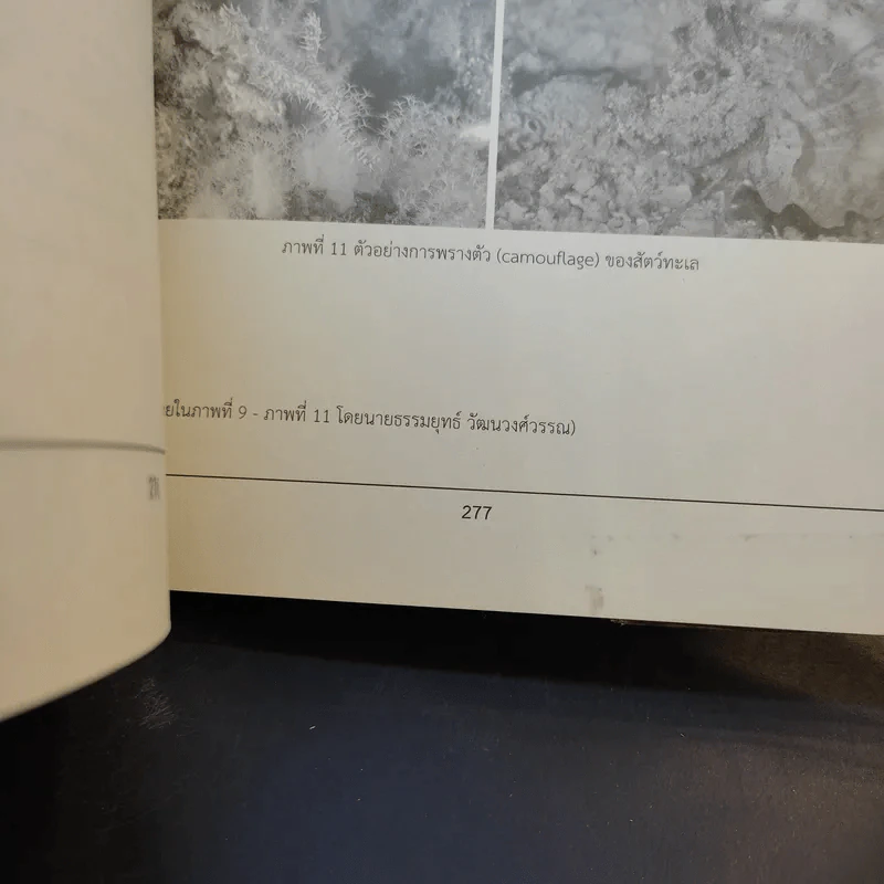 Essential Biology - ศุภณัฐ ไพโรหกุล รูปที่ 16