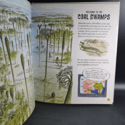 When Bugs Were Big, Plants Were Strange, and Tetrapods Stalked the Earth - Hannah Bonner รูปที่ 7