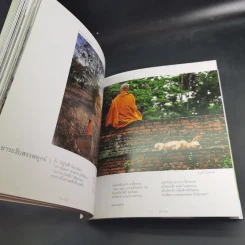 พิศเจริญ กำลังใจ 2 รูปที่ 14