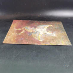 ส.ค.ส.ไก่แก้ว ภาพเขียนอ.จักรพันธุ์ โปษยกฤต รูปที่ 7