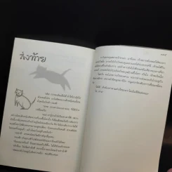 ทองดี - ล่ำซำ วิฬาร รูปที่ 14