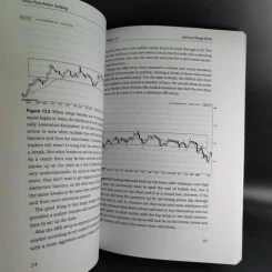 Forex Price Action Scalping - Bob Volman รูปที่ 12