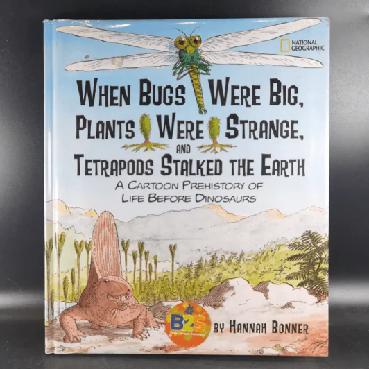 When Bugs Were Big, Plants Were Strange, and Tetrapods Stalked the Earth - Hannah Bonner รูปที่ 1