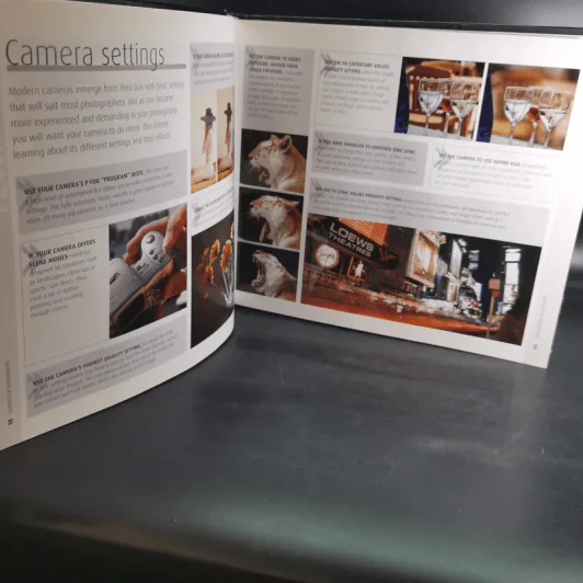 How to Photograph Absolutely Everything รูปที่ 9