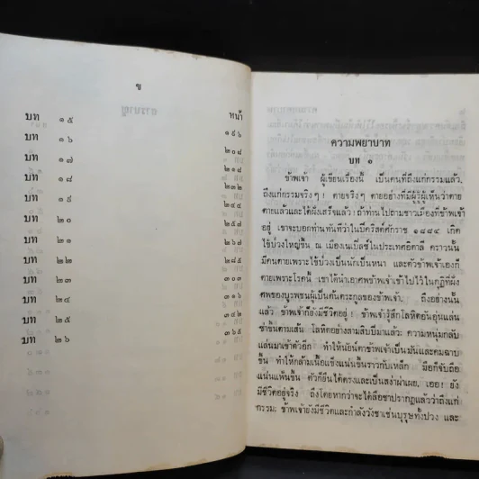 ความพยาบาท - แม่วัน รูปที่ 10