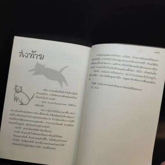 ทองดี - ล่ำซำ วิฬาร รูปที่ 14
