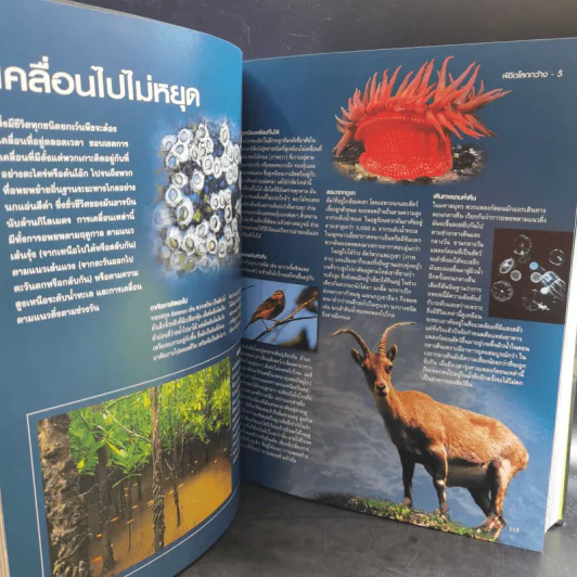 โลกลี้ลับธรรมชาติน่าทึ่ง - รีดเดอร์ส ไดเจสท์ รูปที่ 14