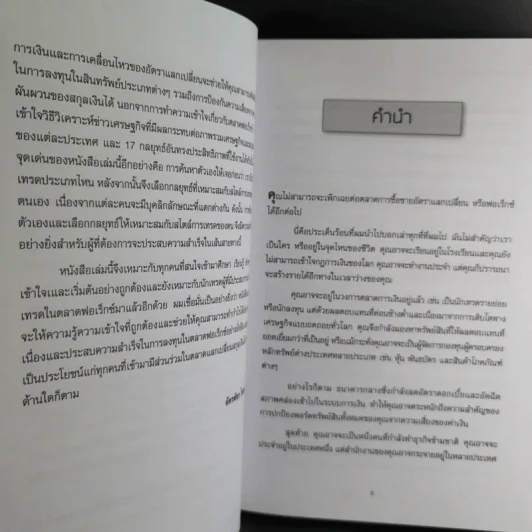 17 กลยุทธ์ การทำกำไรในตลาด Forex - Mario Singh รูปที่ 13