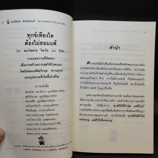 ทุกข์เพียงใดต้องไม่ยอมแพ้ - พระไพศาล วิสาโล และรินใจ รูปที่ 9