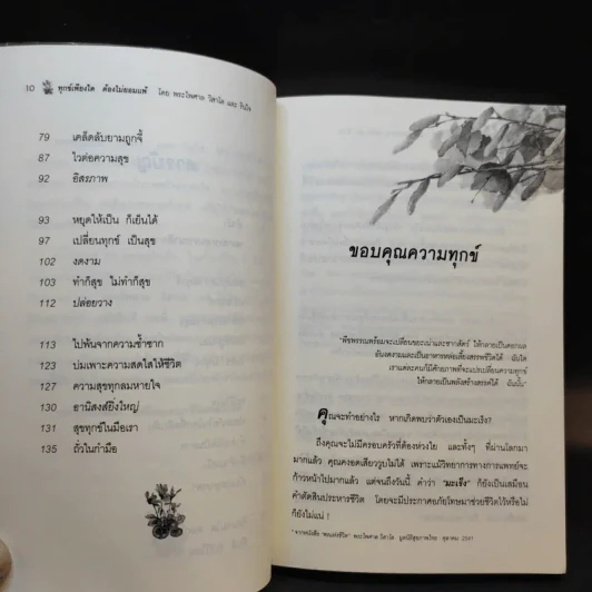 ทุกข์เพียงใดต้องไม่ยอมแพ้ - พระไพศาล วิสาโล และรินใจ รูปที่ 11