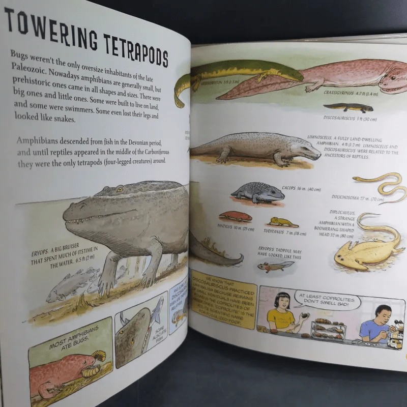 When Bugs Were Big, Plants Were Strange, and Tetrapods Stalked the Earth - Hannah Bonner รูปที่ 8