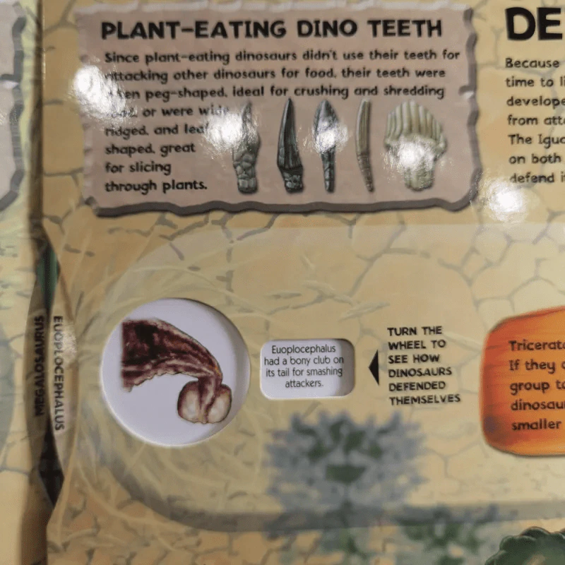 Dinosaurs รูปที่ 5
