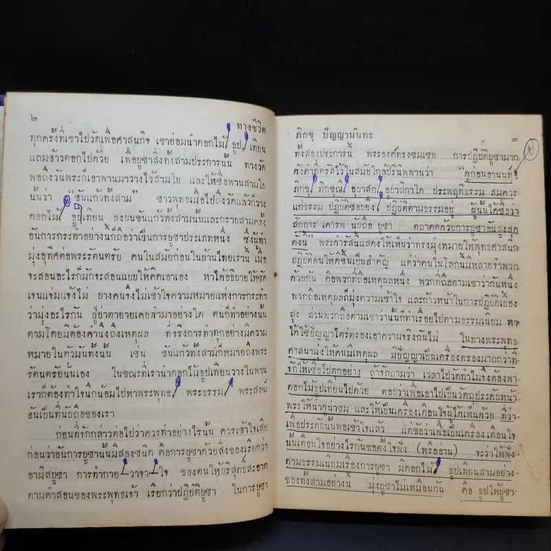 ทางชีวิต - ภิกขุ ปัญญานันทะ รูปที่ 11