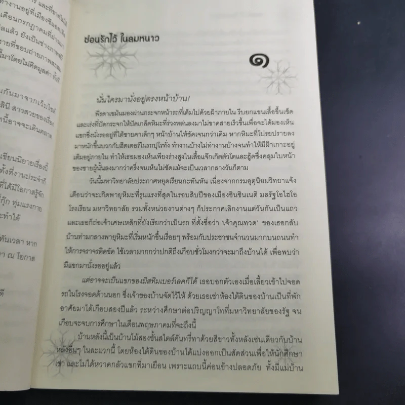 ซ่อนรักไว้ในลมหนาว - ณารา รูปที่ 11
