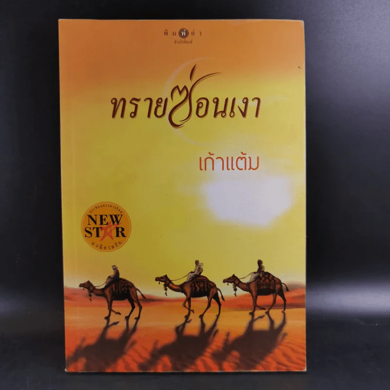 ทรายซ่อนเงา - เก้าแต้ม รูปที่ 1