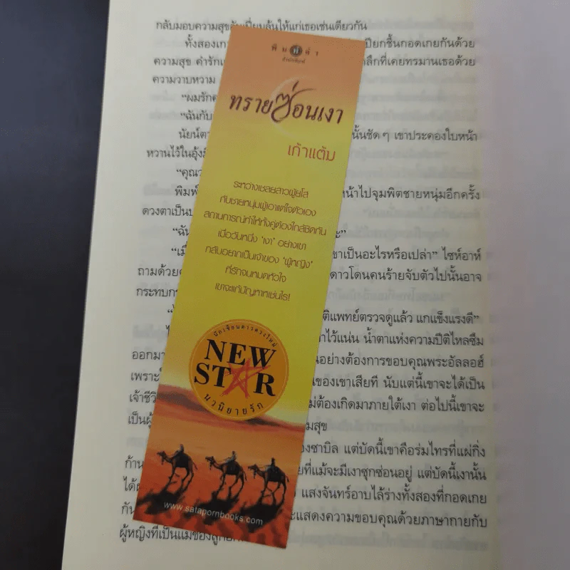 ทรายซ่อนเงา - เก้าแต้ม รูปที่ 15