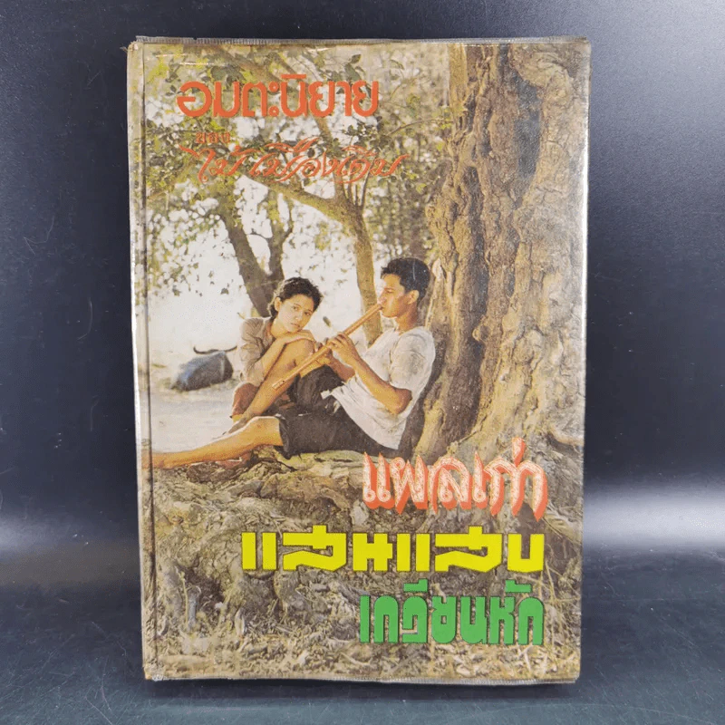 แผลเก่า แสนแสบ เกวียนหัก - ไม้ เมืองเดิม รูปที่ 1