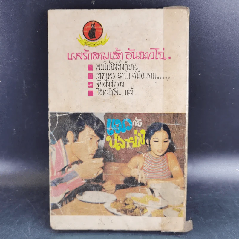 ลูกทุ่งหวานใจ ฉบับพิเศษ รูปที่ 2
