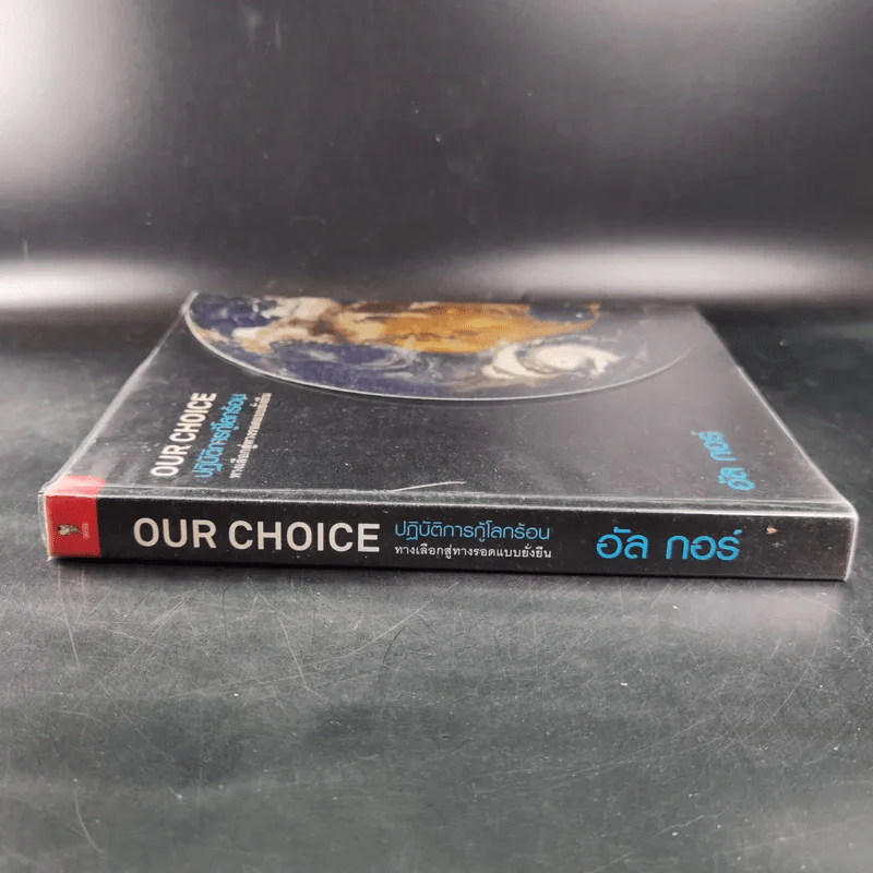 Our Choice ปฎิบัติการกู้โลกร้อน ทางเลือกสู่ทางรอดแบบยั่งยืน - อัล กอร์ รูปที่ 4