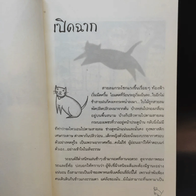 ทองดี - ล่ำซำ วิฬาร รูปที่ 12
