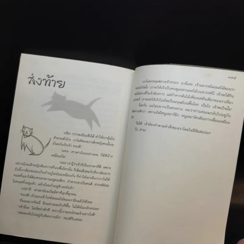 ทองดี - ล่ำซำ วิฬาร รูปที่ 14