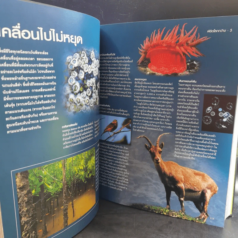 โลกลี้ลับธรรมชาติน่าทึ่ง - รีดเดอร์ส ไดเจสท์ รูปที่ 14
