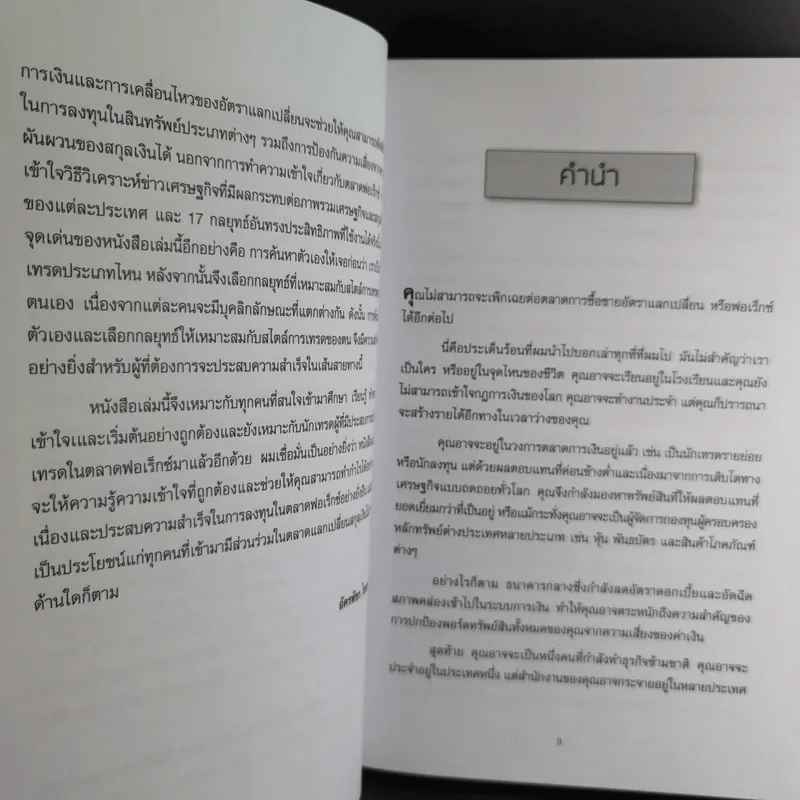 17 กลยุทธ์ การทำกำไรในตลาด Forex - Mario Singh รูปที่ 13