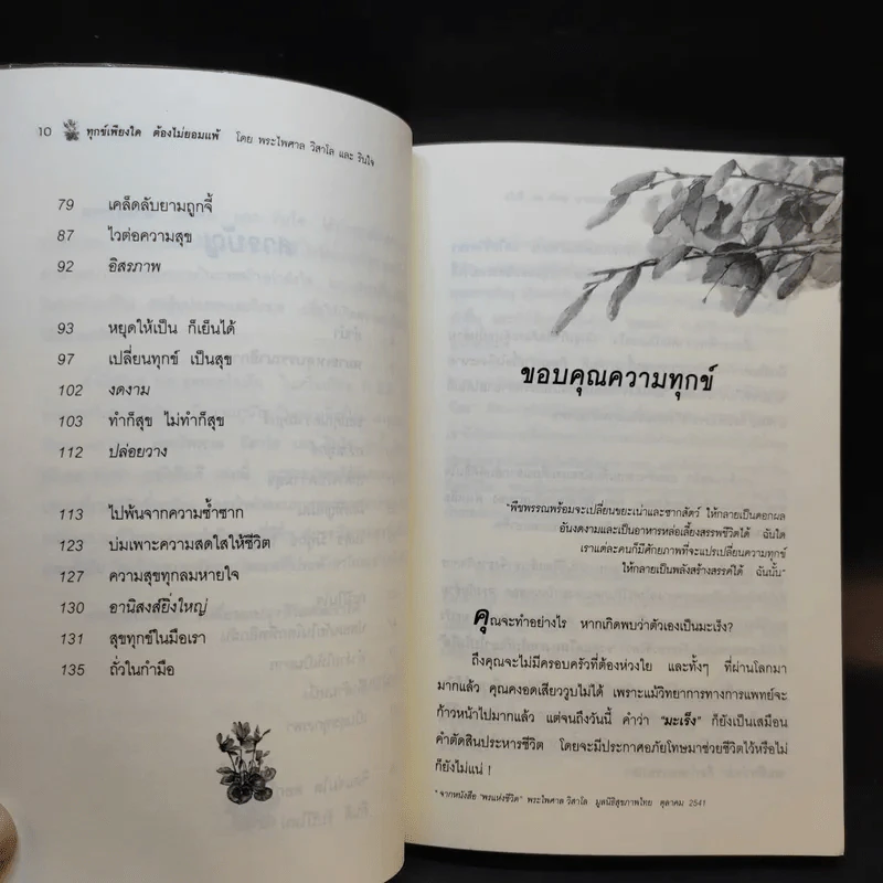 ทุกข์เพียงใดต้องไม่ยอมแพ้ - พระไพศาล วิสาโล และรินใจ รูปที่ 11