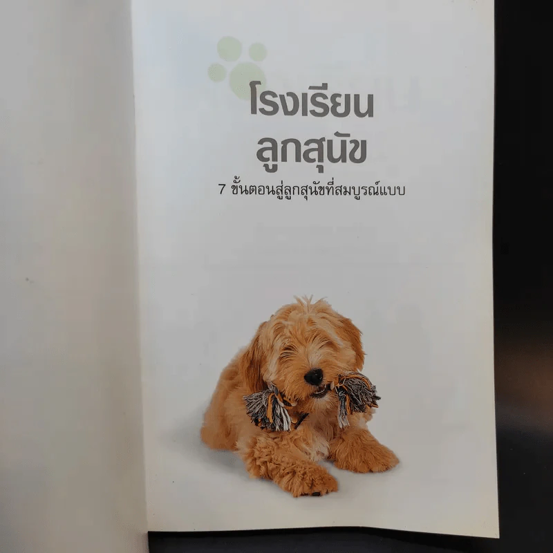 โรงเรียนลูกสุนัข - Gwen Bailey รูปที่ 8